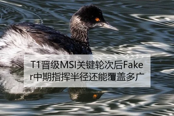 T1晋级MSI关键轮次后Faker中期指挥半径还能覆盖多广